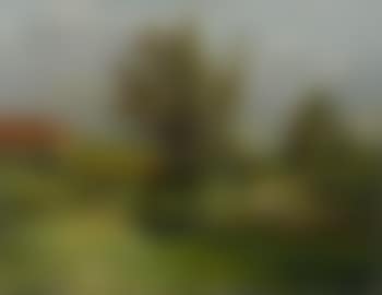 Paysage dans le pays de Caux (preview)