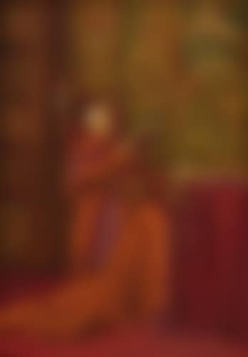 Lesender Kardinal (preview)