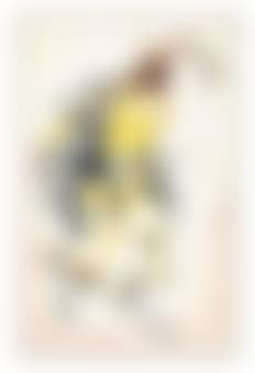 Shake a Tail Feather (preview)