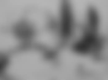 Douarnenez (preview)