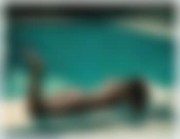 Sunbathing (preview)