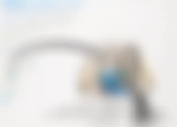 Untitled (preview)