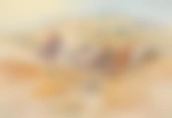 Wild Horses (1900) (preview)