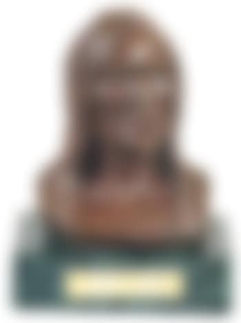 Indian chief (preview)