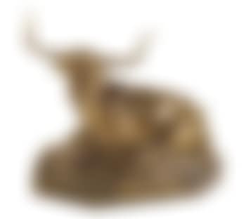 Texas Longhorn (preview)