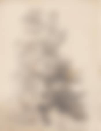 Eken (preview)