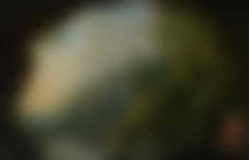 Saint Jean-Baptiste dans une grotte (preview)