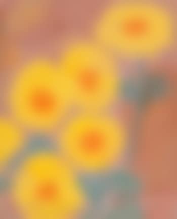Gula blommor I (preview)