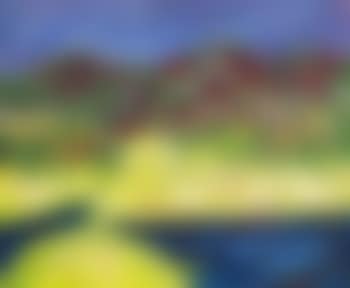 Sommar vid havet - Koster (preview)