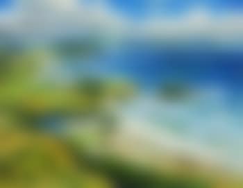 Tawharanui (preview)