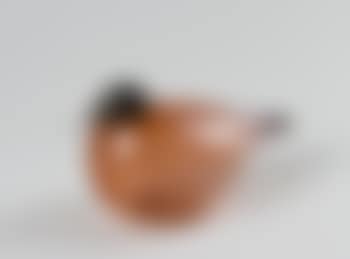 [Untitled] (preview)