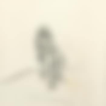 Nude (preview)