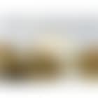 Bristol harbour (preview)