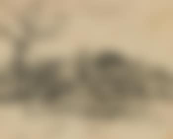 Landschaft mit Kühen (preview)