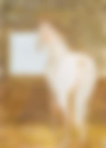 Pferd im Stall (preview)