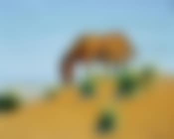 Solitude (preview)