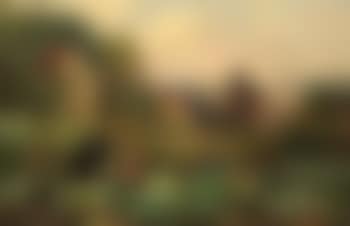 The Cabbage Patch (preview)