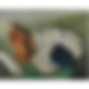 Nature morte au chapeau bleu (preview)