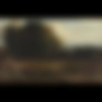 Faggot gatherer (preview)