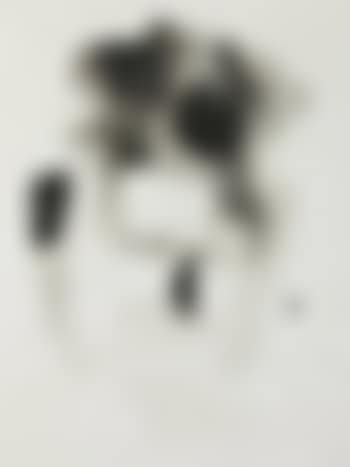 Abstract (preview)