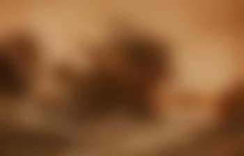 Pastoral scene (preview)