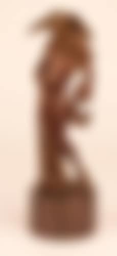 Homme oiseau (preview)