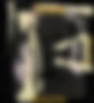Untitled (Portrait of John Stuart Mill) (preview)