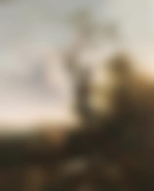 Landscape (preview)