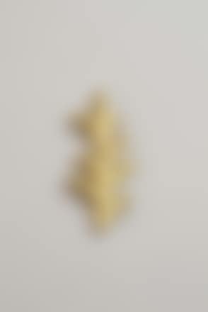 brooch (preview)