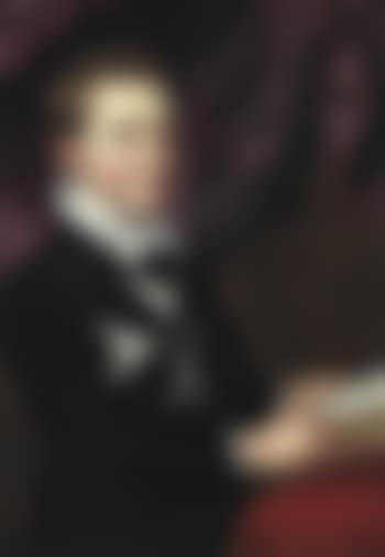 Portrait of Ferdinando Gonzaga as a boy (preview)