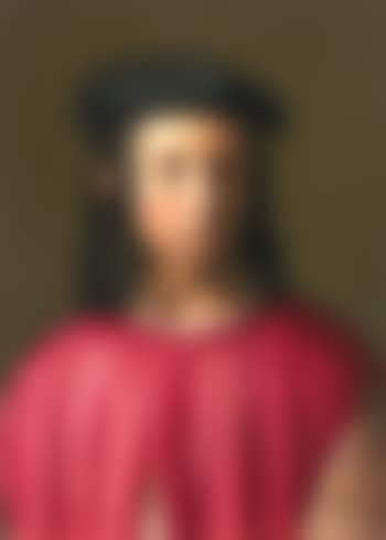 Portrait Of Giovanni Gaddi (1493-1542), Head And Shoulders, Wearing a Black Cap (preview)