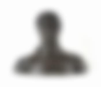Buste De Rik Wouters (preview)