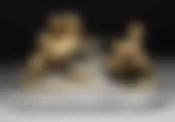 Le Bouc Traque (preview)