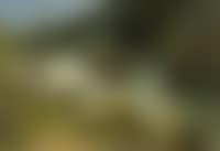 Bergbach (preview)