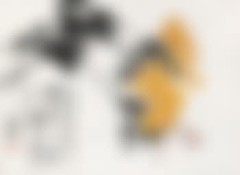 Chrysanthemum (preview)
