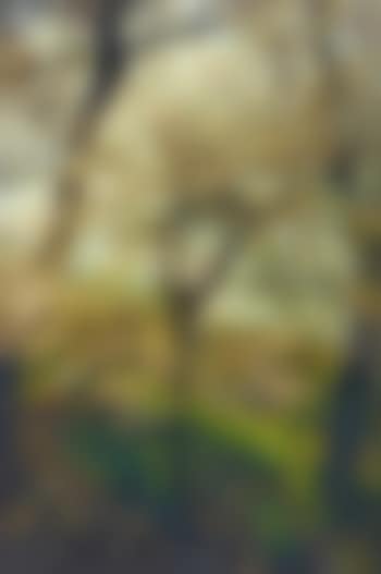 Spring (preview)