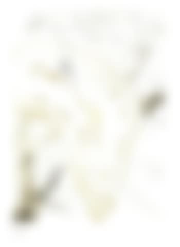 Quinze Gravures (preview)