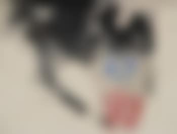 Senza titolo (preview)