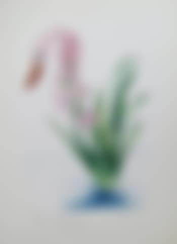 Surrealist Flowers (preview)