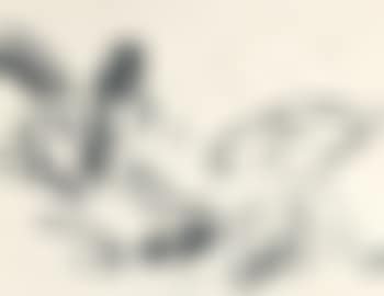 Liggend naakt (preview)