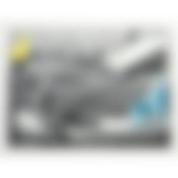 Man, Dog (Blue), Canoe/Shark Fins (One Yellow), Capsized Boat (H. 129) (preview)