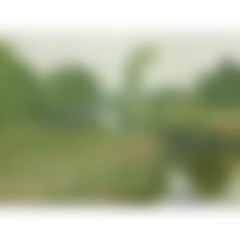 Riverbanks along the medway (preview)