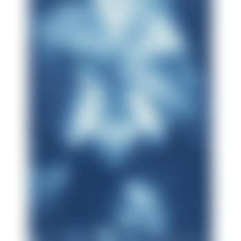 Untitled (preview)