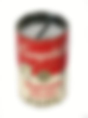 Campbell Kids promotional soup can money box Campbell's Money Saving Vegetable Garden Bank (preview)