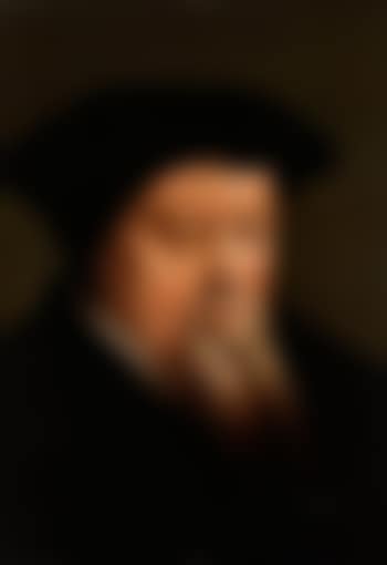 Portrait eines bärtigen Herrn (preview)
