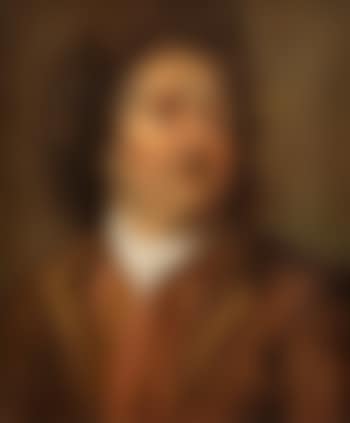 Portrait eines Herrn in braunem Wams (preview)