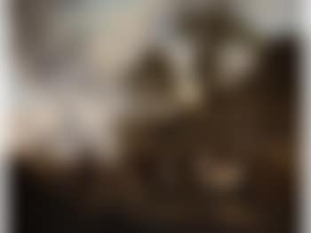 Soldaten in einer Landschaft (preview)