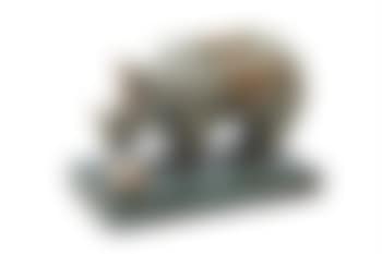 Rhinozeros mit Rüstung und Seeigel (preview)