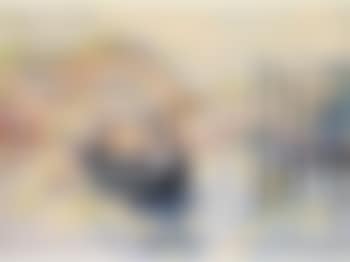 Ansicht von venedig mit Gondelschiffer (preview)