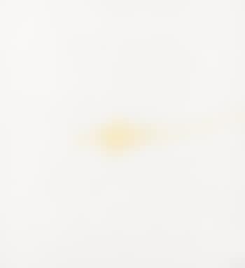 STAINS (MINNEAPOLIS INSTITUTE OF ARTS BOOKS 10) (preview)